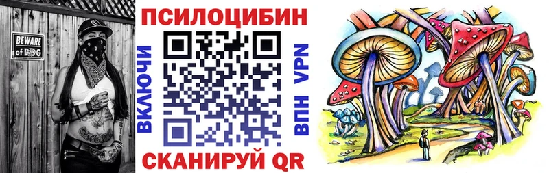 Псилоцибиновые грибы GOLDEN TEACHER Неман